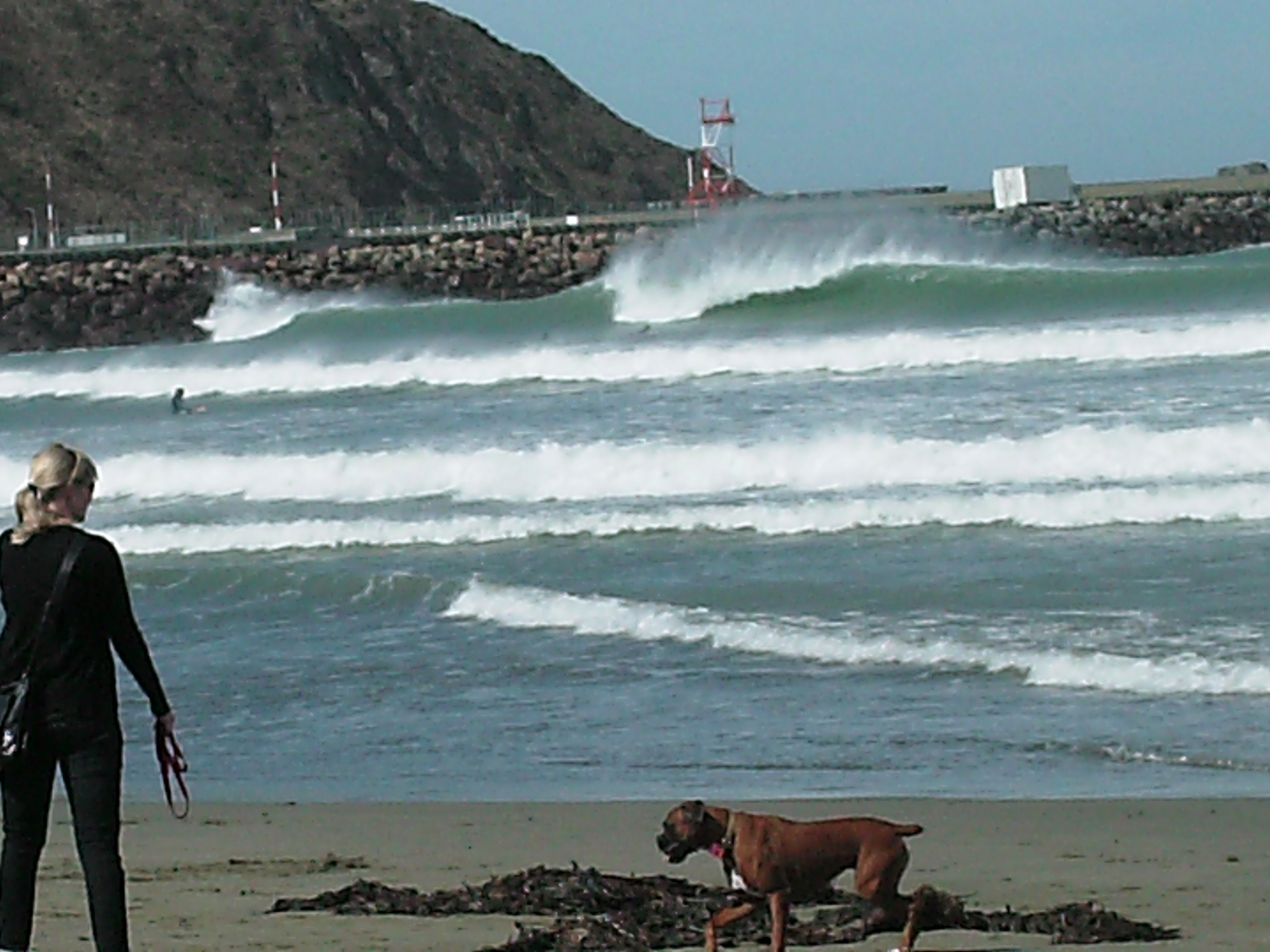 Sandy bay surf report nzd